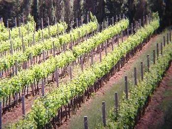 Wine Resort Leda D'Ittiri Fertilia 0*,  Italy